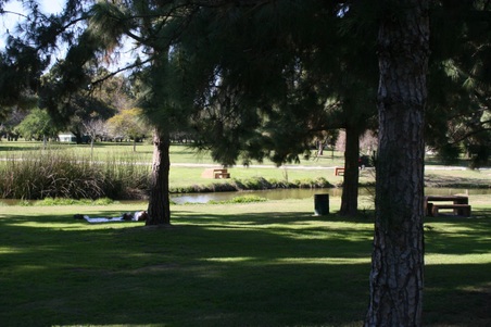 Enlarge photo 107
