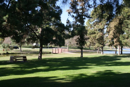 Enlarge photo 108