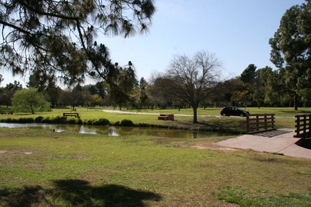 Enlarge photo 109