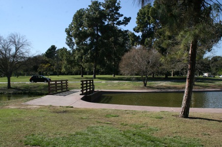 Enlarge photo 110