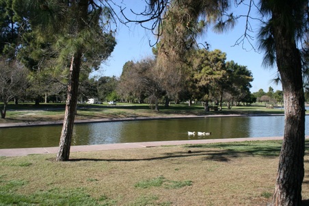 Enlarge photo 111
