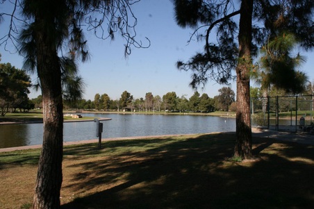 Enlarge photo 112