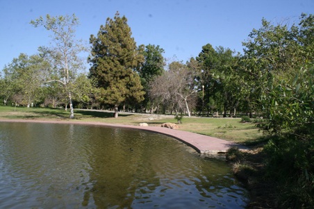 Enlarge photo 113