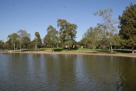 Enlarge photo 114
