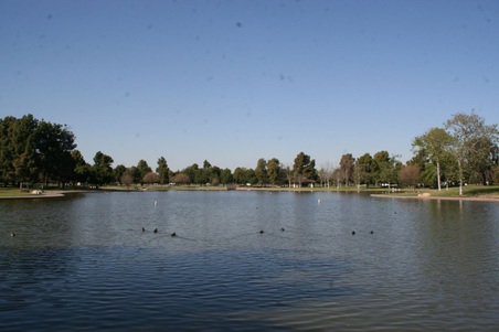 Enlarge photo 115
