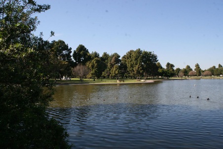 Enlarge photo 116