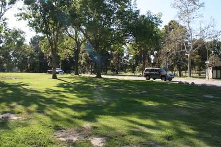 Enlarge photo 117
