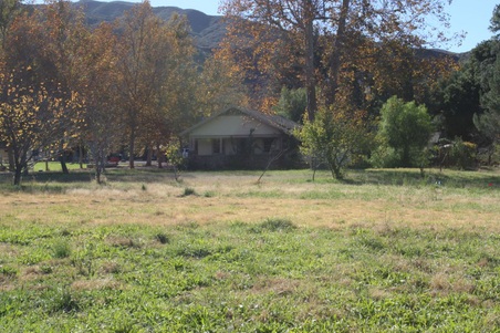 Enlarge photo 15