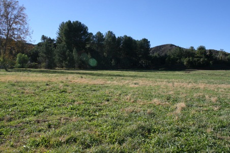 Enlarge photo 17