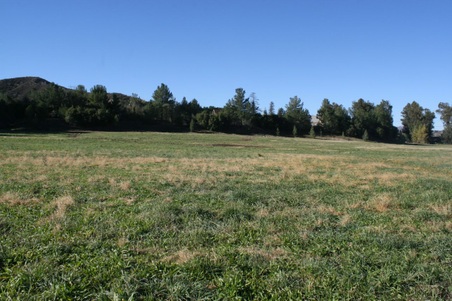 Enlarge photo 18