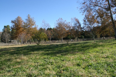 Enlarge photo 21