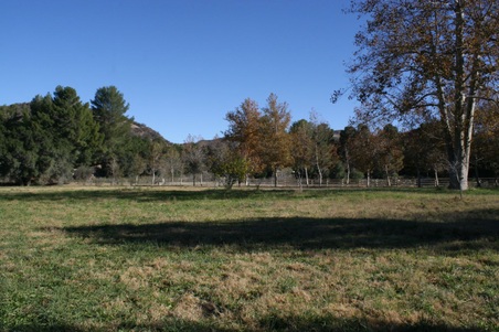 Enlarge photo 25