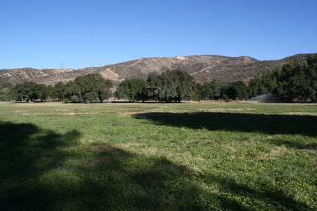Enlarge photo 28