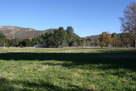 Enlarge photo 29