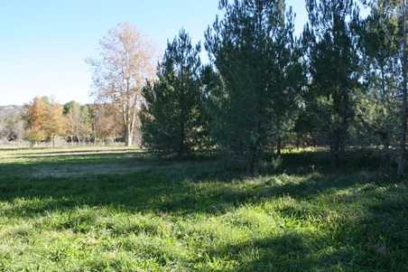 Enlarge photo 30