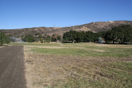 Enlarge photo 31
