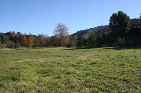 Enlarge photo 35