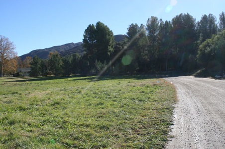 Enlarge photo 36