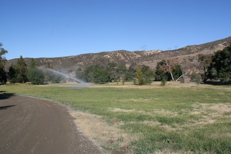 Enlarge photo 37