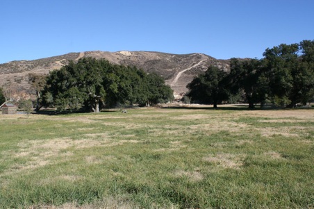 Enlarge photo 38
