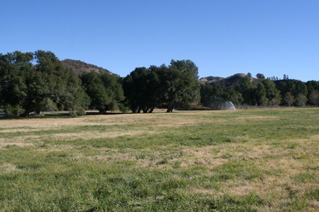 Enlarge photo 39