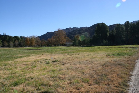 Enlarge photo 40