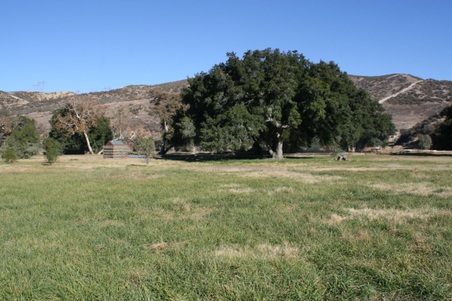 Enlarge photo 42