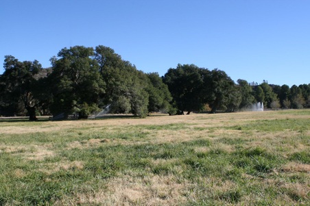 Enlarge photo 43