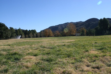 Enlarge photo 44