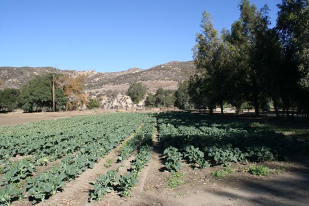 Enlarge photo 46