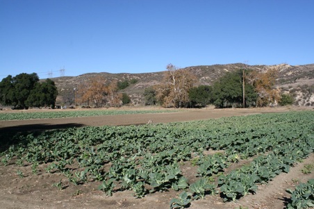 Enlarge photo 47