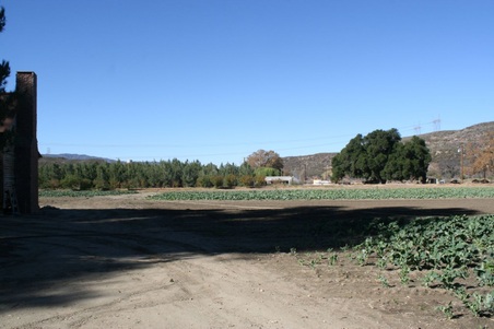 Enlarge photo 48