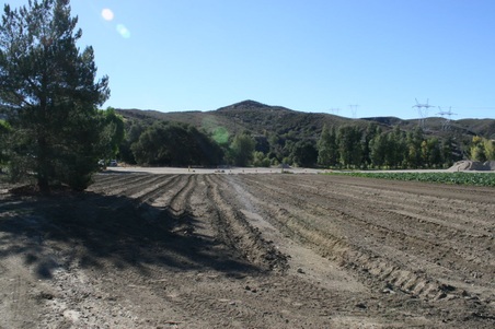 Enlarge photo 49