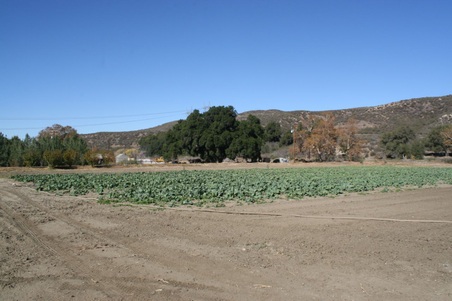 Enlarge photo 52