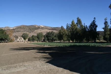 Enlarge photo 54