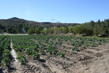 Enlarge photo 58
