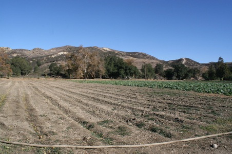 Enlarge photo 61