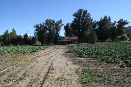 Enlarge photo 63