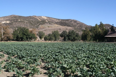 Enlarge photo 67