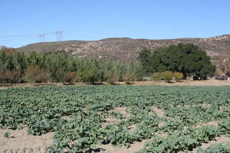Enlarge photo 74