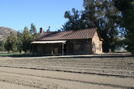 Enlarge photo 78