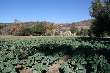 Enlarge photo 85
