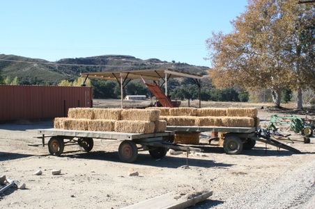 Enlarge photo 116