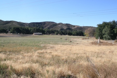 Enlarge photo 120