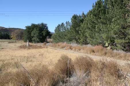 Enlarge photo 121