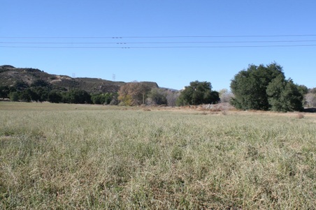 Enlarge photo 124