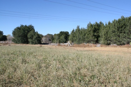 Enlarge photo 125
