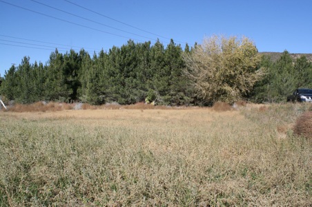 Enlarge photo 126