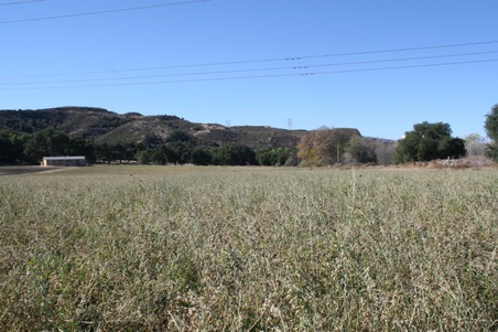 Enlarge photo 127