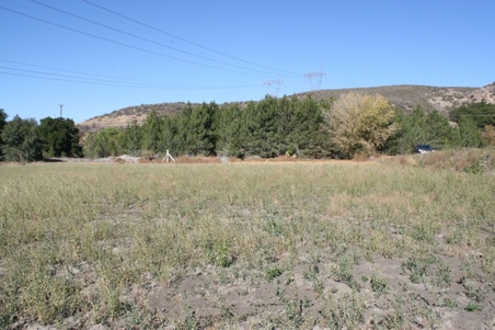 Enlarge photo 131